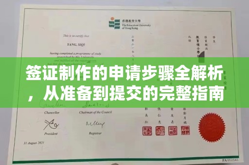 琼海签证制作的申请步骤全解析，从准备到提交的完整指南