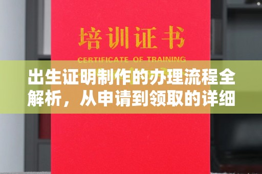 琼海出生证明制作的办理流程全解析，从申请到领取的详细指南
