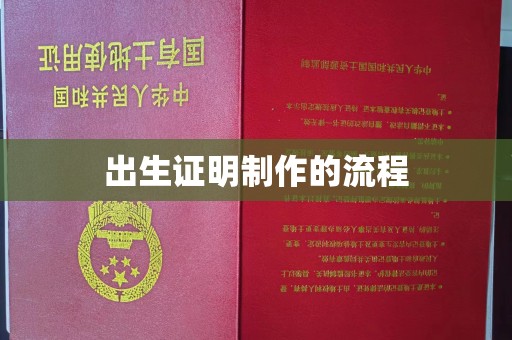 琼海出生证明制作的流程