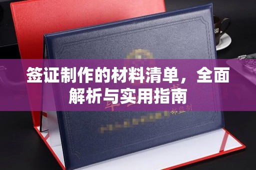 琼海签证制作的材料清单，全面解析与实用指南