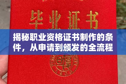 琼海揭秘职业资格证书制作的条件，从申请到颁发的全流程解析