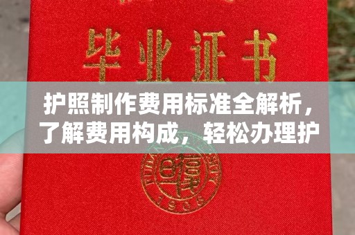 琼海护照制作费用标准全解析，了解费用构成，轻松办理护照