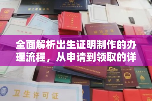 琼海全面解析出生证明制作的办理流程，从申请到领取的详细指南